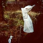 Image: Third image from the photoset 'st. neots (i)'.