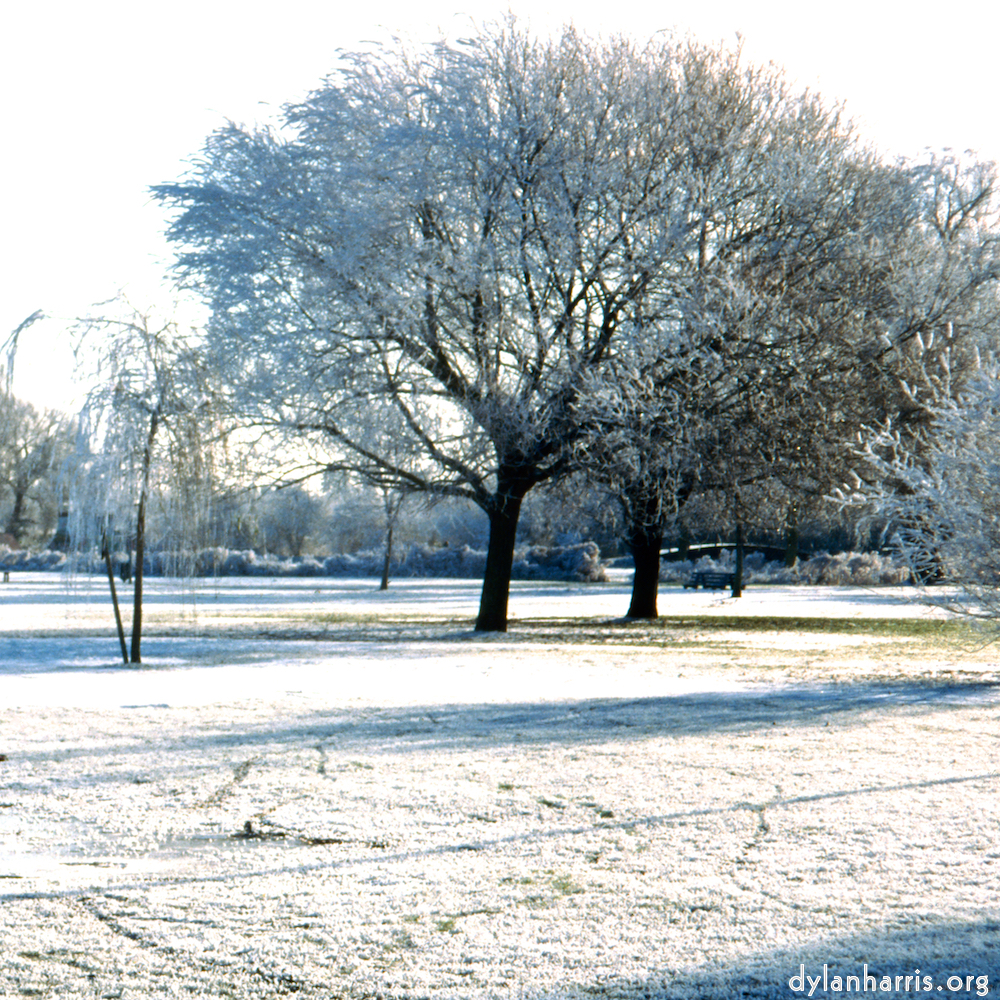 Image: Image 'st. neots park (iv) 6'.
