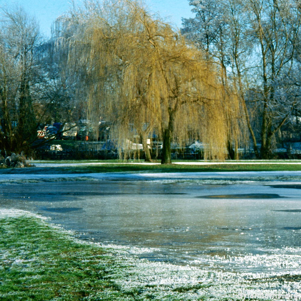 Image: Image 'st. neots park (iv) 7'.