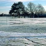 Image: Second image from the photoset 'st. neots park (iv)'.