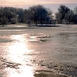 Image: Fourth image from the photoset 'st. neots park (iv)'.