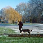 Image: Fifth image from the photoset 'st. neots park (iv)'.