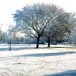 Image: Sixth image from the photoset 'st. neots park (iv)'.