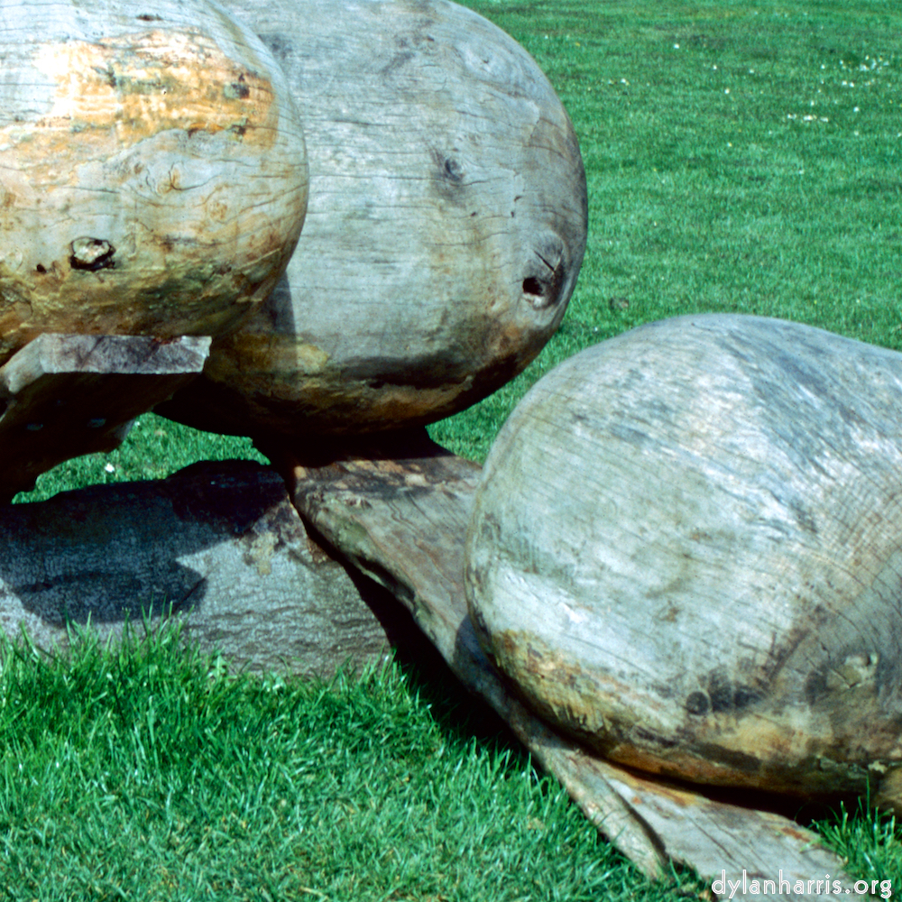 image: This is ‘
yorkshire (x) 3
’.