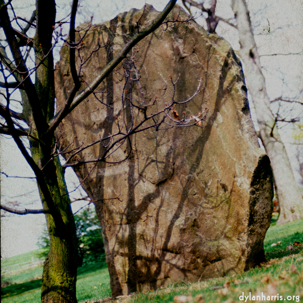 Image 'yorkshire (x) 6'.