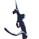 image: Image from the photoset ‘
yorkshire (x)
’.