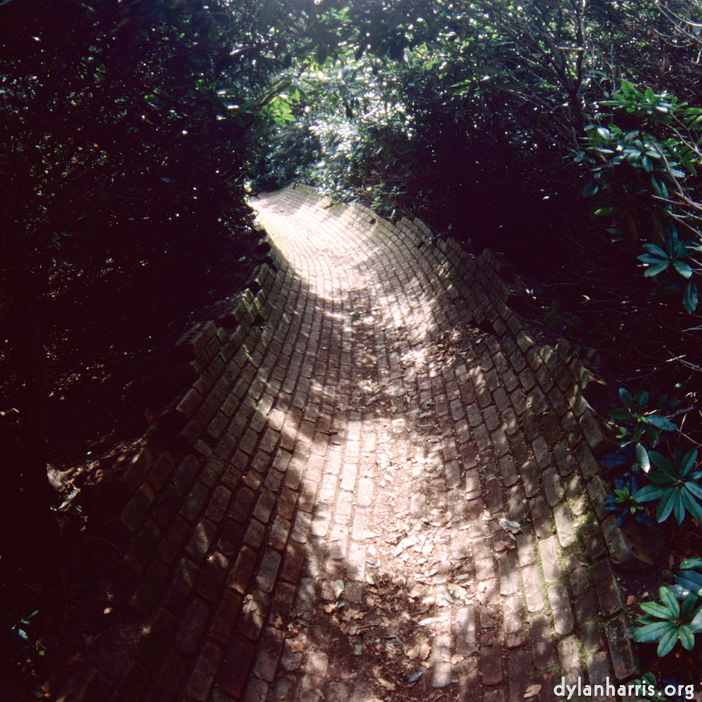 Image: Image 'yorkshire (xi) 1'.