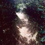 Image: First image from the photoset 'yorkshire (xi)'.