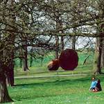 Image: Second image from the photoset 'yorkshire (xi)'.