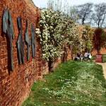 Image: Fourth image from the photoset 'yorkshire (xi)'.