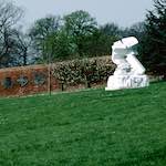 Image: Sixth image from the photoset 'yorkshire (xi)'.