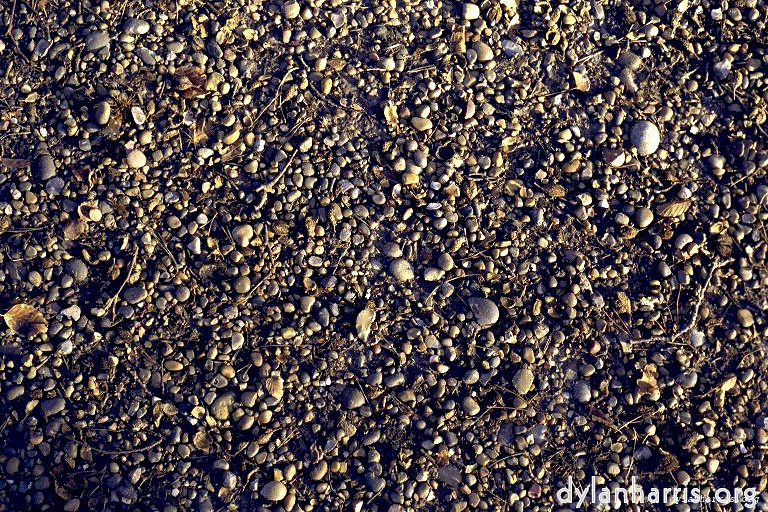 Image: Image 'texture (ii) 1'.