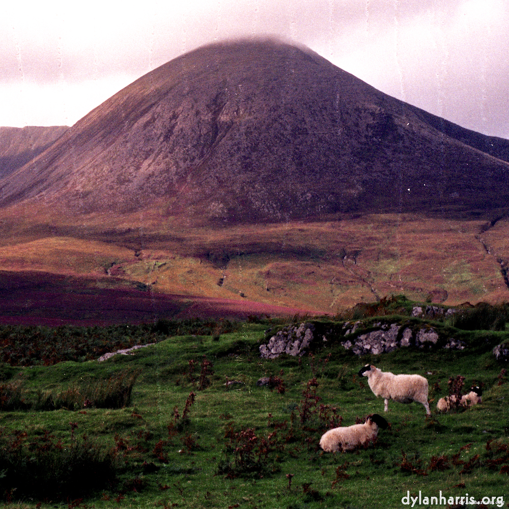 image: This is ‘
highlands (x) 8
’.