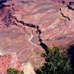Image: Third image from the photoset 'grand canyon'.
