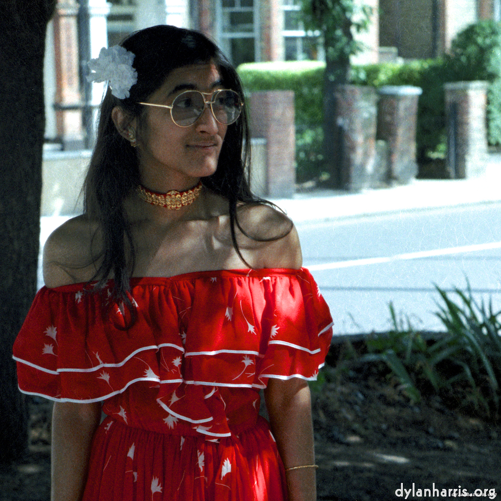 Image: Image 'YLs (vi) 1'.