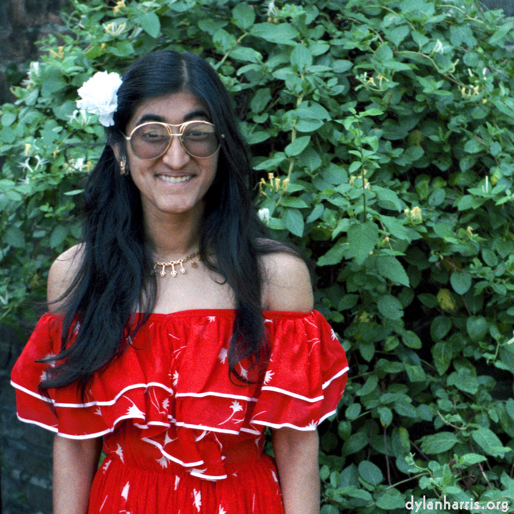 Image: Image 'YLs (vi) 2'.