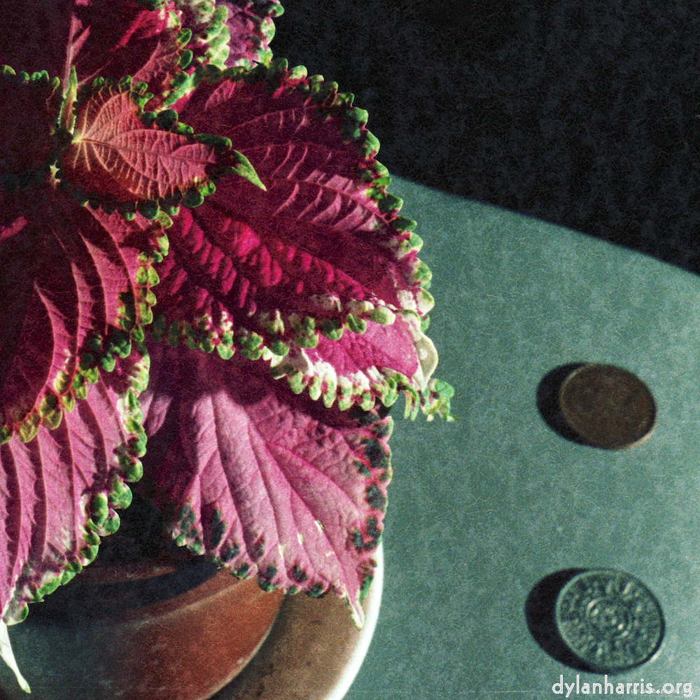 image: This is ‘
82 08 26 2
’.