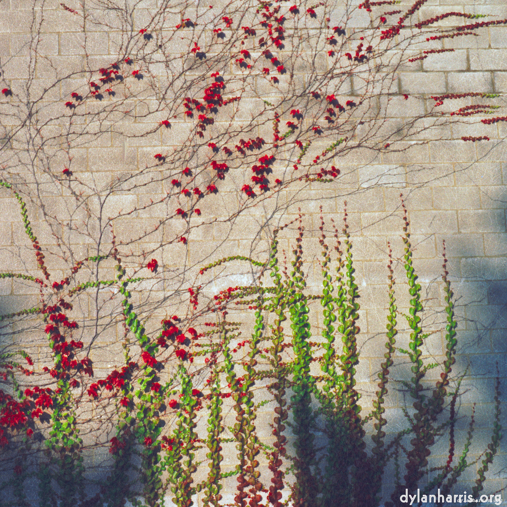 image: This is ‘
82 08 26 4
’.