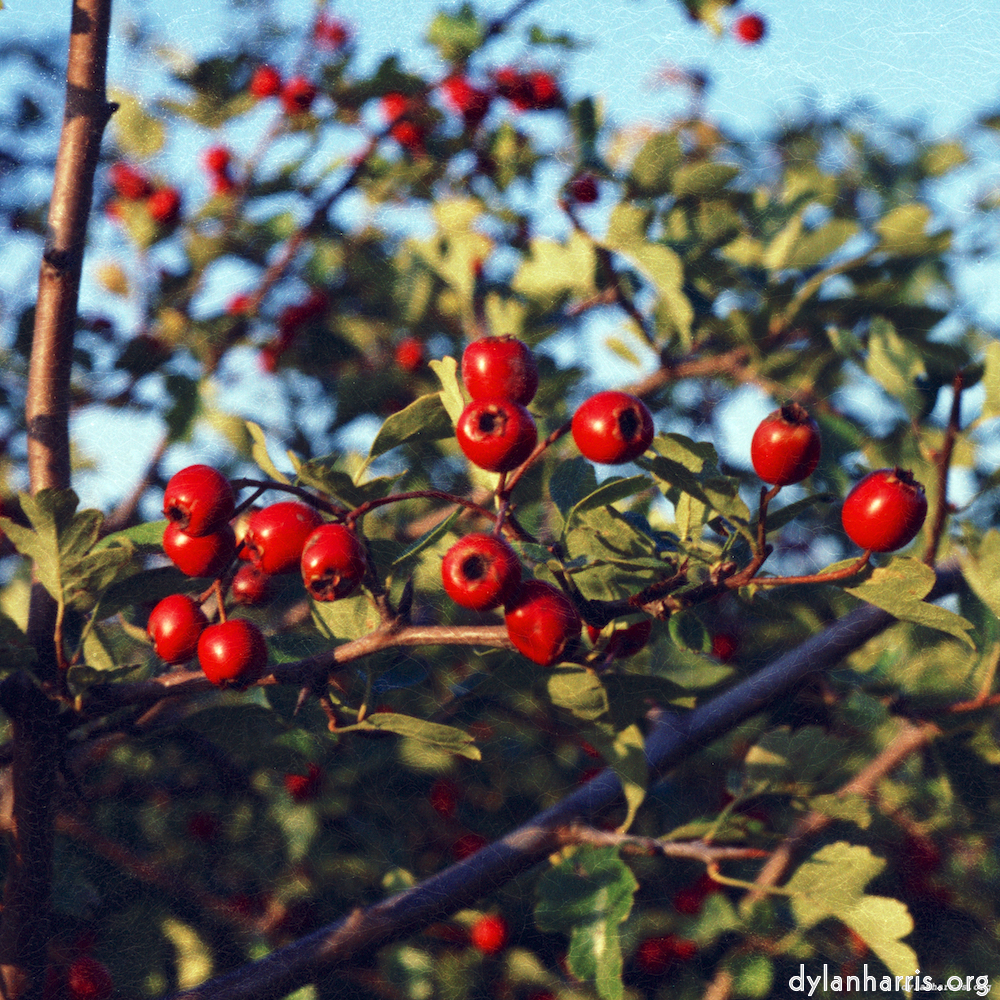 image: This is ‘
82 08 26 6
’.