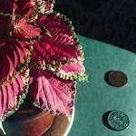 image: Image from the photoset ‘
82 08 26
’.