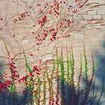 image: Image from the photoset ‘
82 08 26
’.