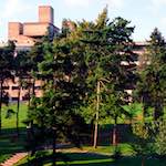 image: Image from the photoset ‘
82 08 26
’.