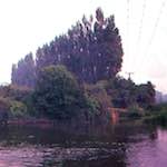 image: Image from the photoset ‘
untitled (viii)
’.