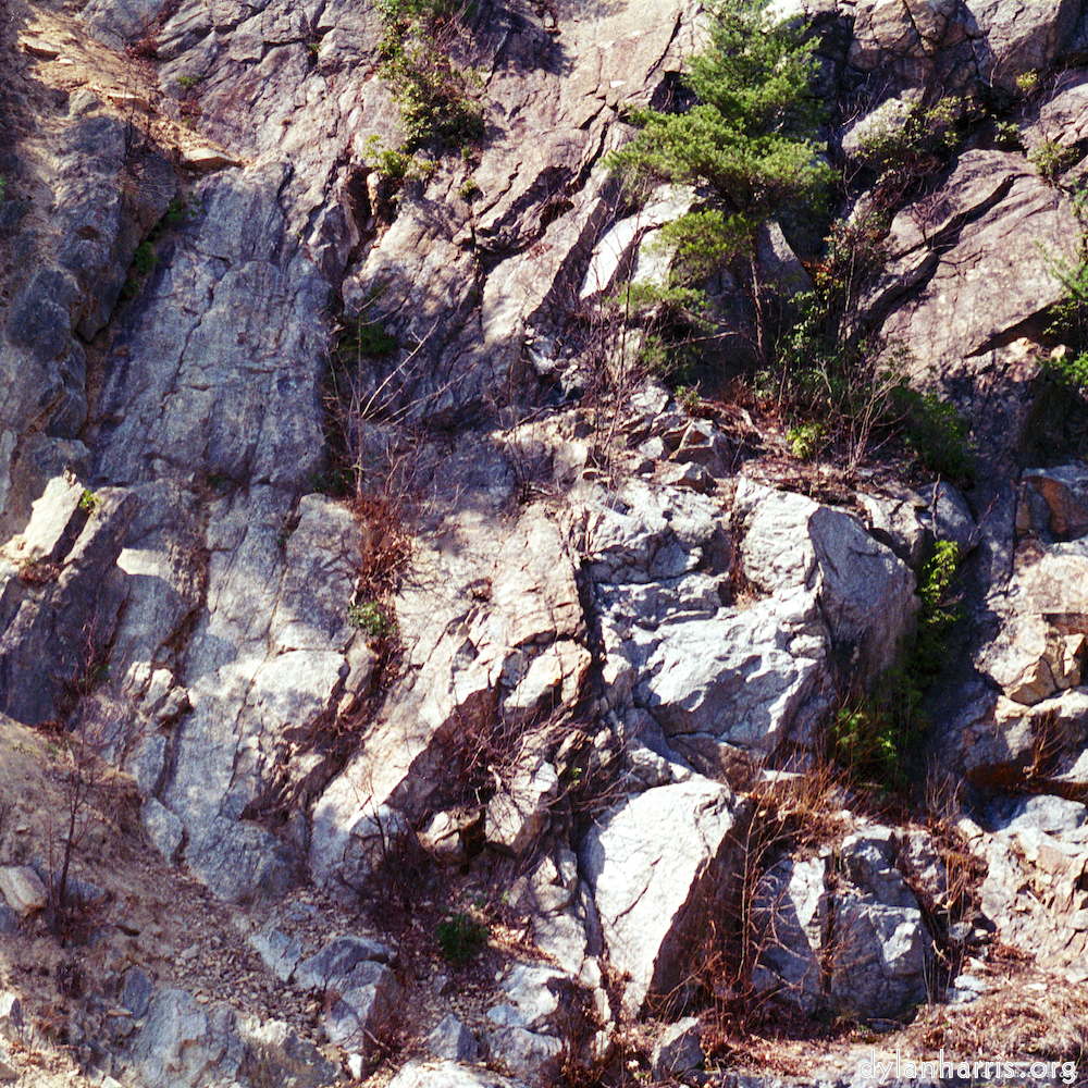 Image 'wood (vii) 6'.