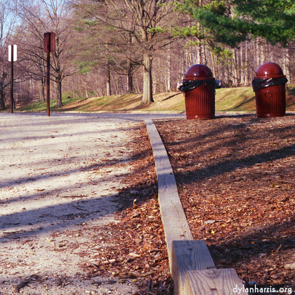 Image: Image 'wood (vii) 8'.