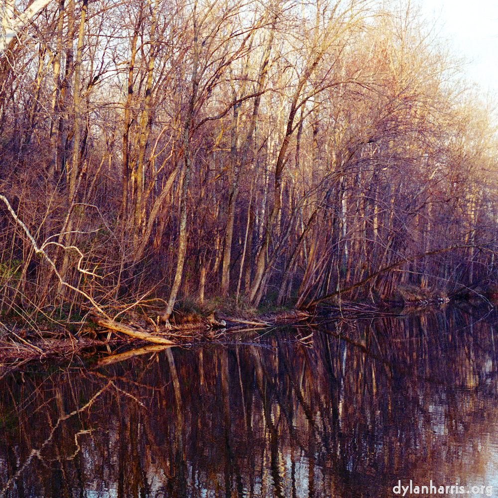 Image: Image 'wood (vii) 9'.