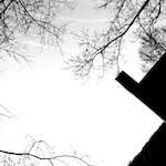 Image: Third image from the photoset 'wood (vii)'.