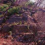 Image: Fourth image from the photoset 'wood (vii)'.