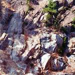 Image: Sixth image from the photoset 'wood (vii)'.