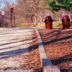 Image: Eighth image from the photoset 'wood (vii)'.