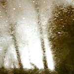 Image: Sixth image from the photoset 'prague (ii)'.