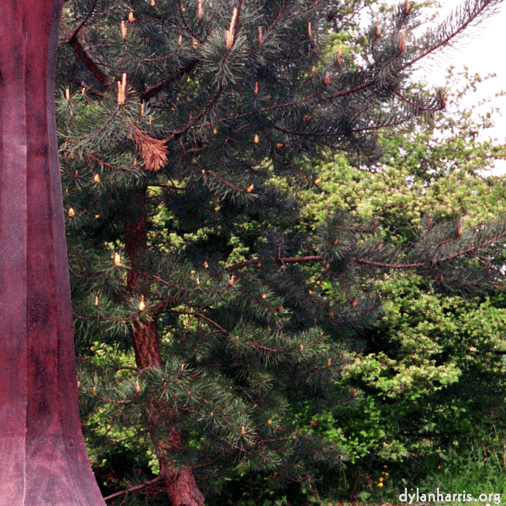 Image 'yorkshire (i) 3'.