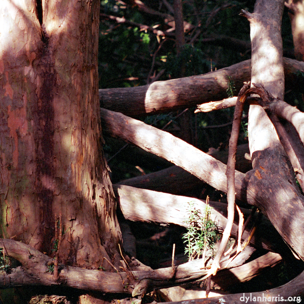 Image 'yorkshire (i) 7'.