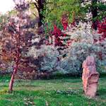 Tenth image from the photoset 'yorkshire (i)'.