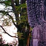 Fifth image from the photoset 'yorkshire (i)'.