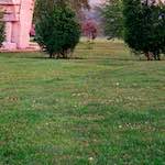 Ninth image from the photoset 'yorkshire (i)'.