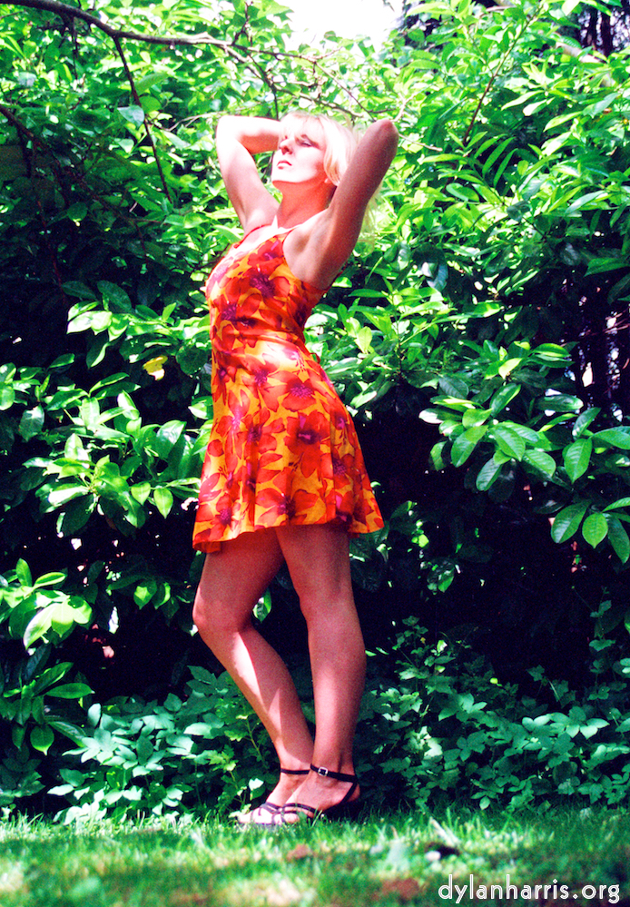 Image: Image 'sue (ii) 2'.