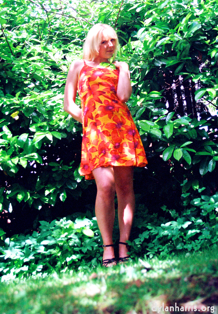 Image: Image 'sue (ii) 3'.