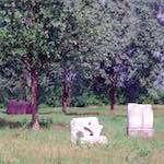 image: Image from the photoset ‘
peterborough
’.