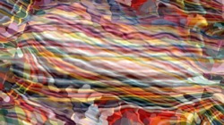 image: image from msg test 2