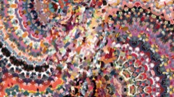 image: image from warp test