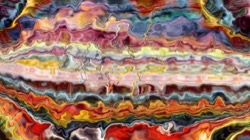 image: image from new 1