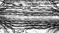 image: image from general