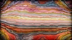 image: image from rancid