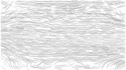 image: z–new thumbnail