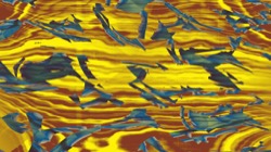 image: image from abstract - more